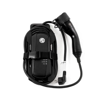 MG – Irmãos Leite